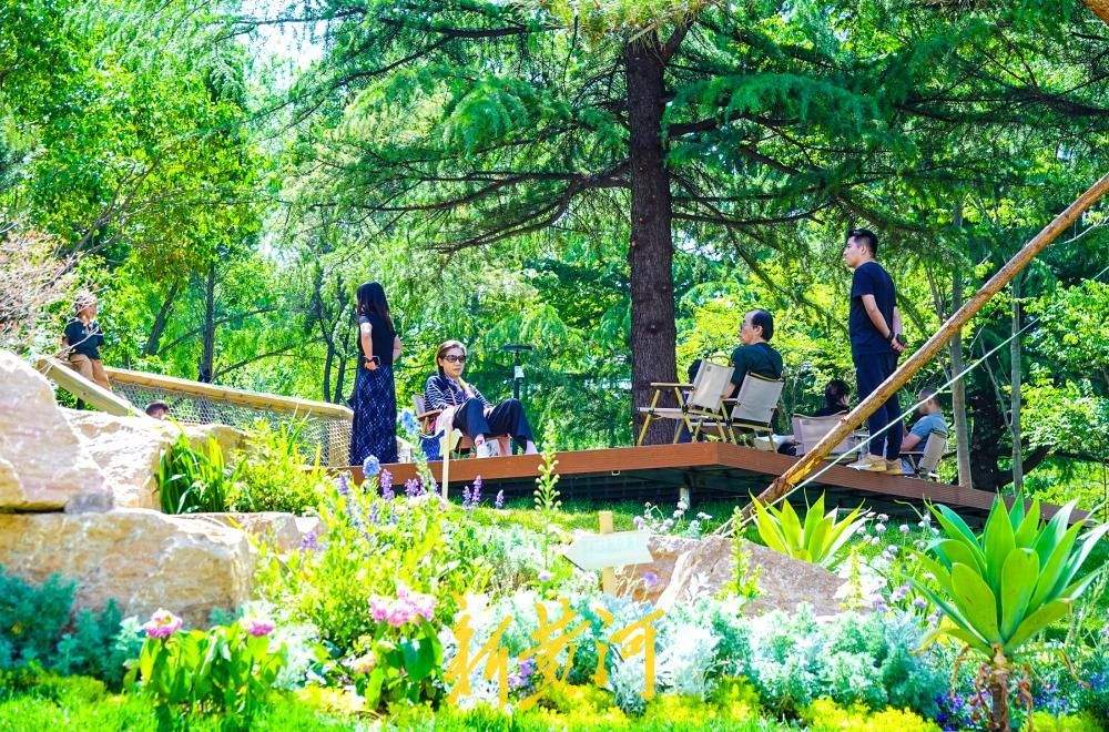 济南奥体中心景观提升，“大草坪”变身“微景区”