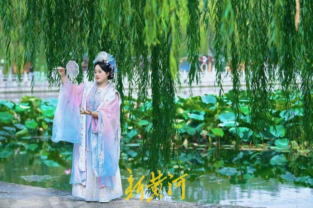末伏时节游济南明府城 泉水街巷引游客漫步纳凉