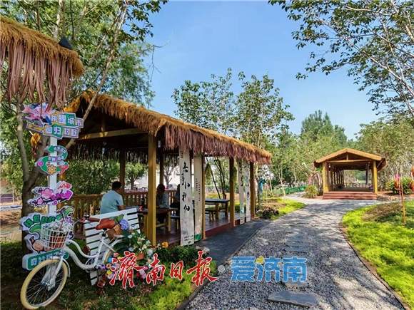 章丘：新风拂沃野 乡村展画卷