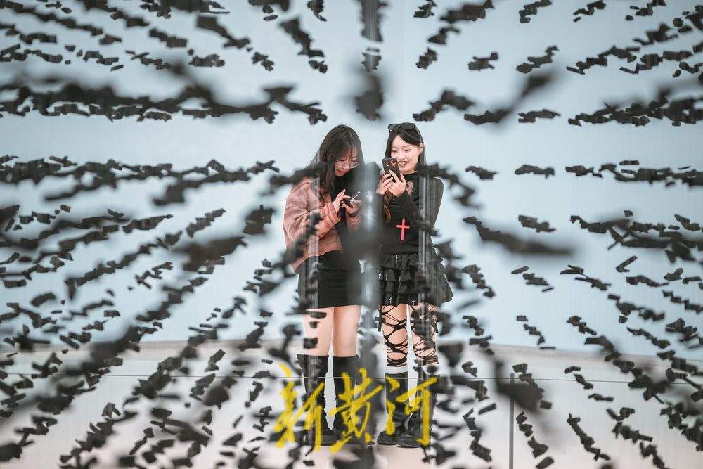 品文化大餐，第三届济南国际双年展持续火爆