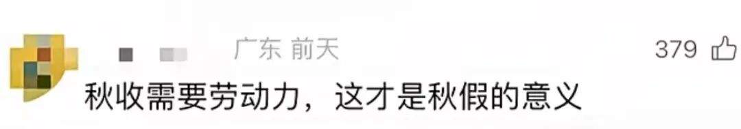 佛山秋假,三小孩在摊位帮忙杀鱼,网友热议