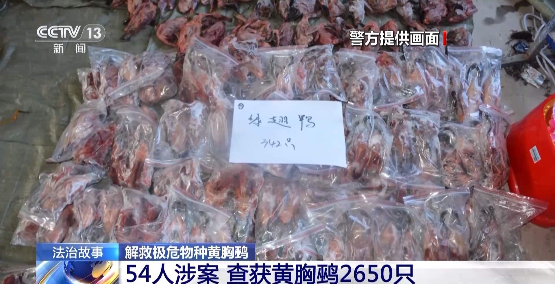 涉案1600余万元 湖北警方打掉54人非法捕杀候鸟团伙