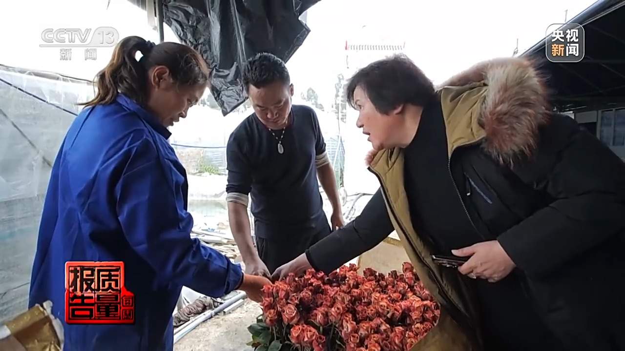 小鲜花大市场,这份美丽的事业正蓄势绽放