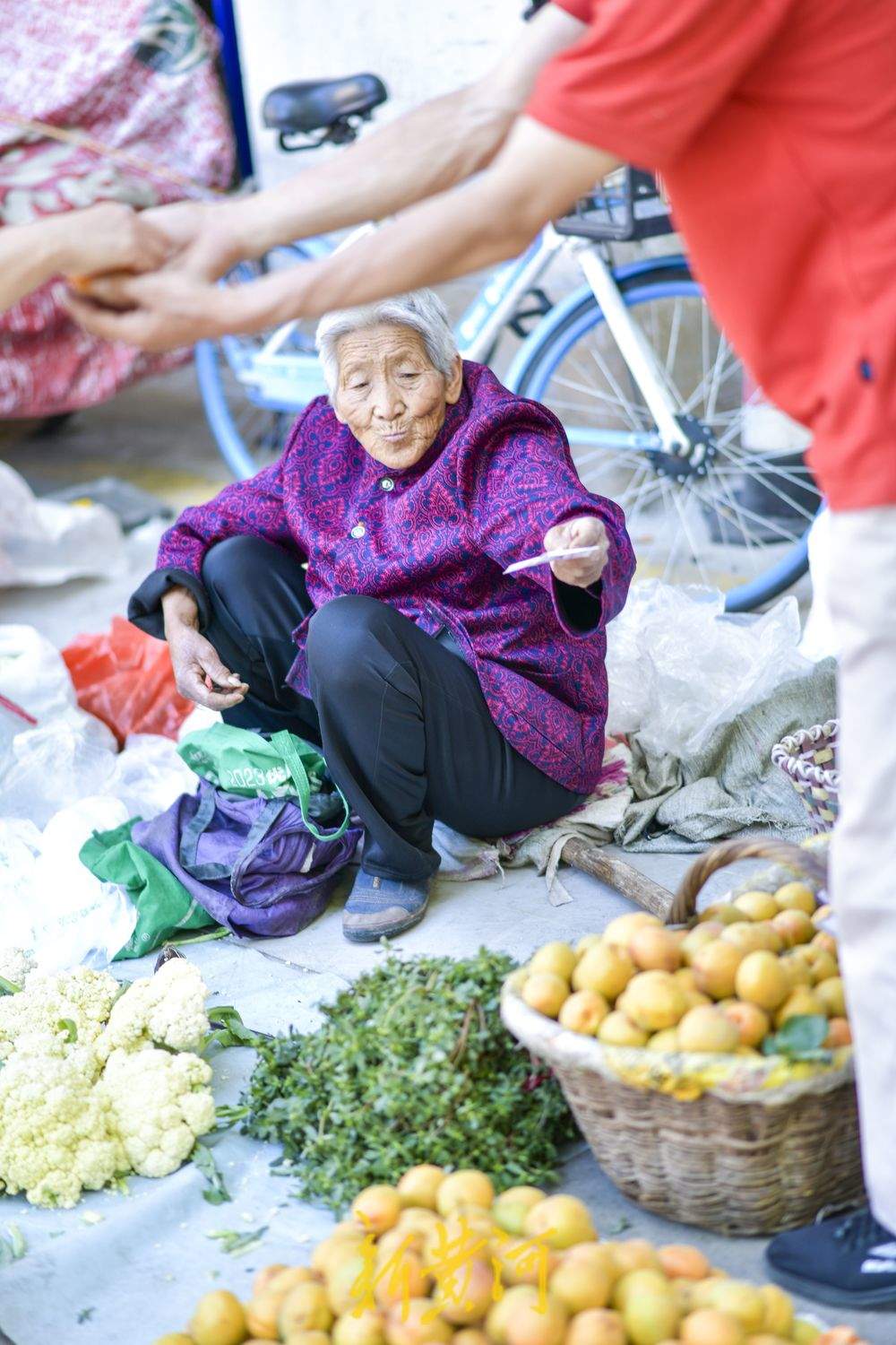 夏季水果“出山进城” 市区里的南山市集火起来