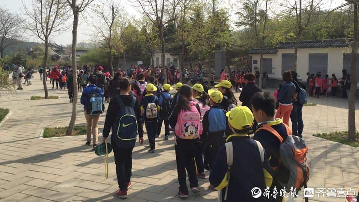 研学、对诗、相亲、避暑、赏景……济南千佛山暑期活动发布