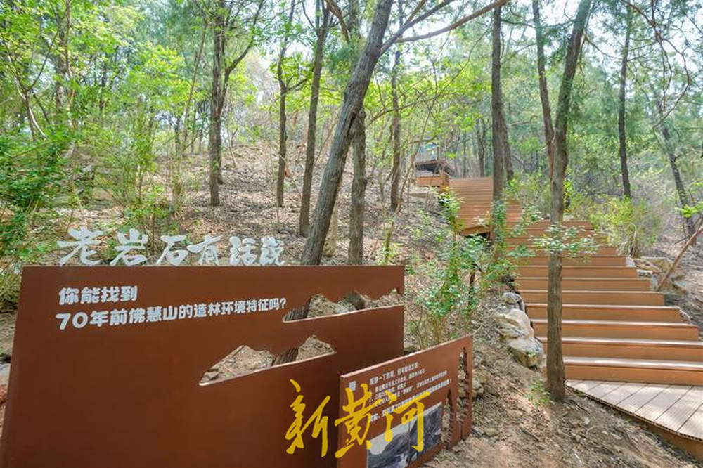 用读绘本的方式打开山林，济南打造了一座“没有围墙的森林博物馆”