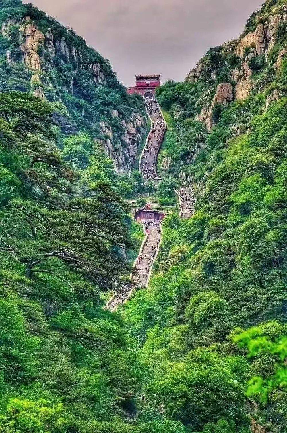 文脉永续 薪火相传 山东数百场活动奏响文化和自然遗产保护新乐章