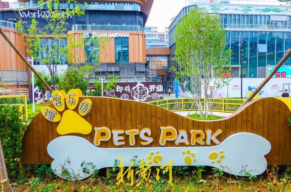 济南首个“宠物友好试点街区”亮相CBD 打造封闭式萌宠乐园