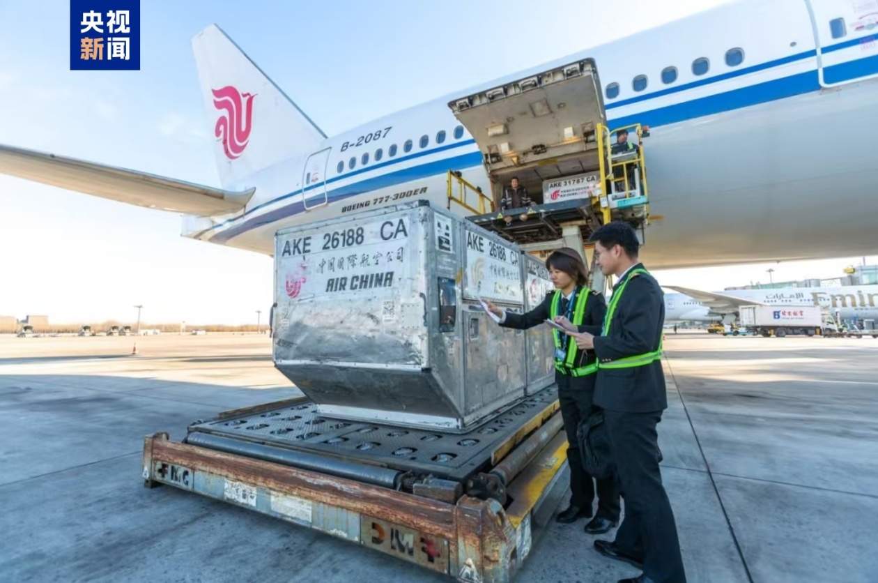 海关、移民、民航多部门协同发力 进一步促进航空口岸通关便利化