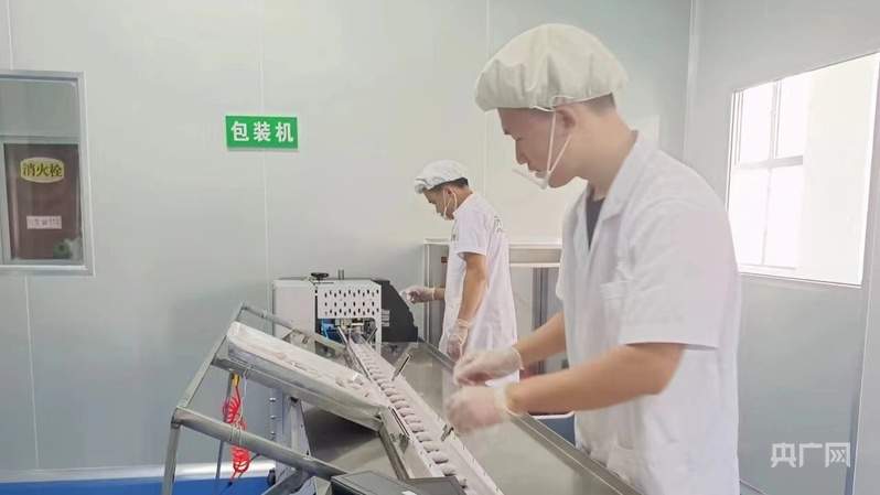 红星照耀中国丨红色根脉点亮赣鄱三农新图景