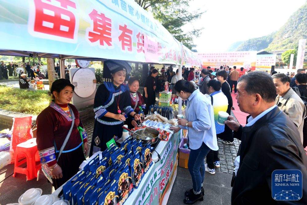 可爱的乡村——跨区域协作助深山苗寨产业发展