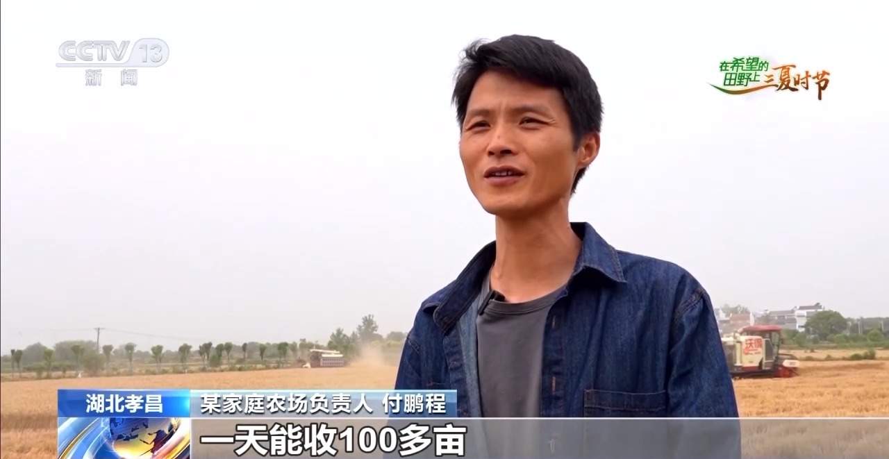 三夏时节迎丰收 小麦、稻虾、西瓜解锁农田增收“密码”