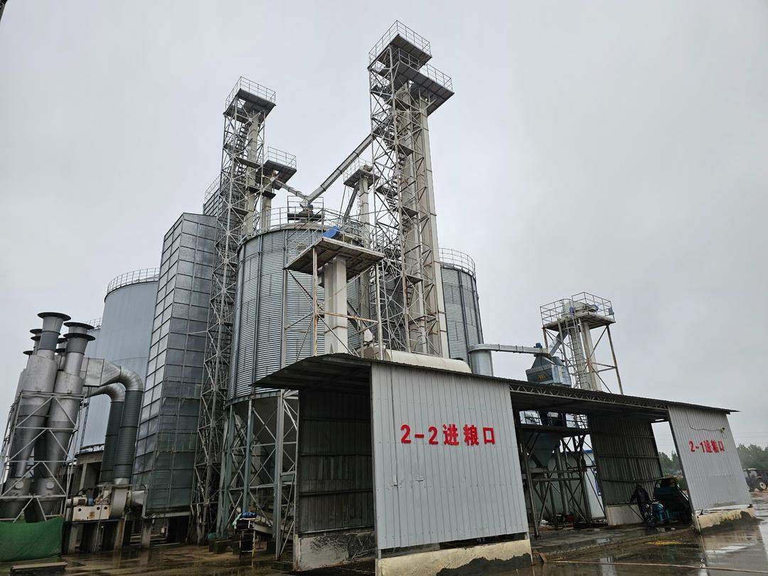 防霉变,秋粮抢烘忙入库