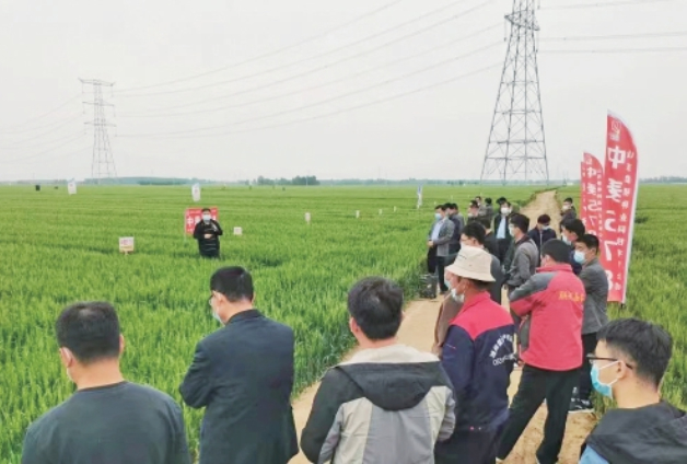 乡村振兴“成绩单”背后的人才故事