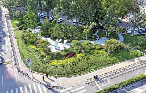 守护“一城绿” 心系“国庆红”