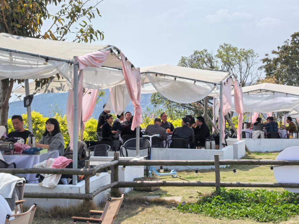 从“歇脚处”变“心归处”,民宿经济何以持续升温?