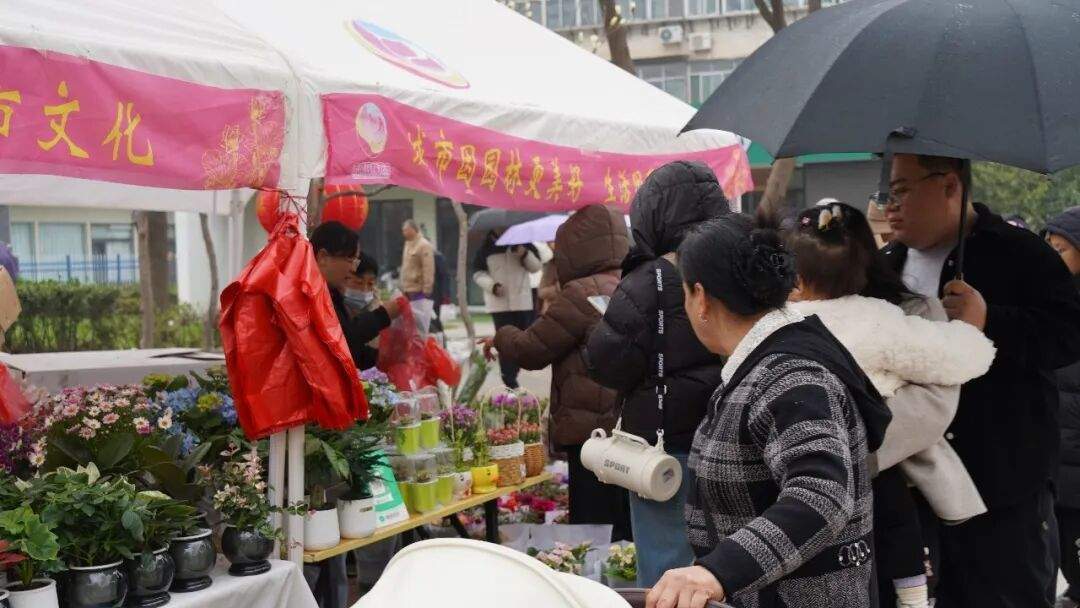 白玉兰进入盛花期，百花公园开启春日盛宴