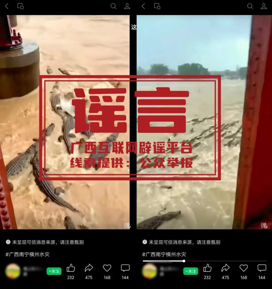 广西辟谣：网传“广西洪涝有鳄鱼逃出”系旧闻嫁接