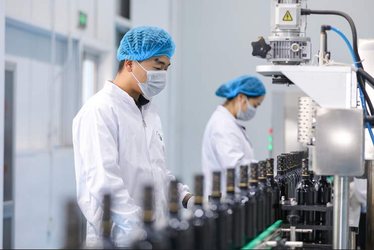 报告解读丨齐鲁乡村振兴新画卷怎么绘