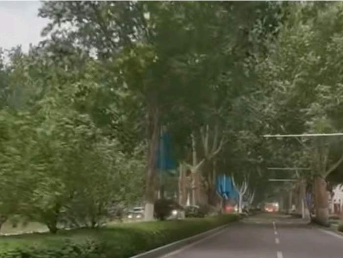 大风刮得人“凌乱”，济南的春天为何“情绪不稳定”？