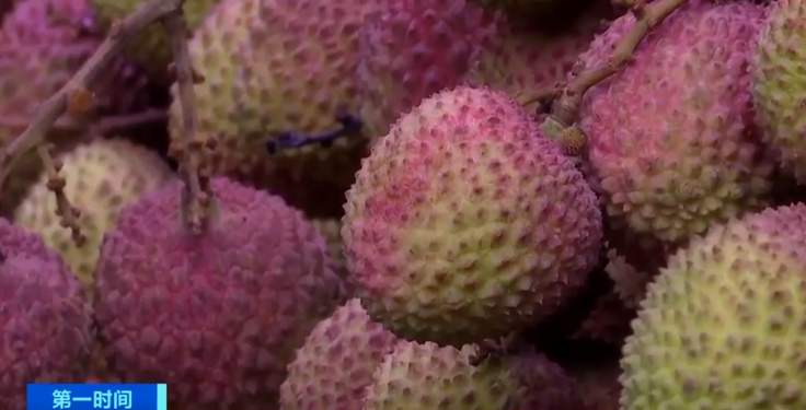 降价40%！荔枝大量上市！还会再降