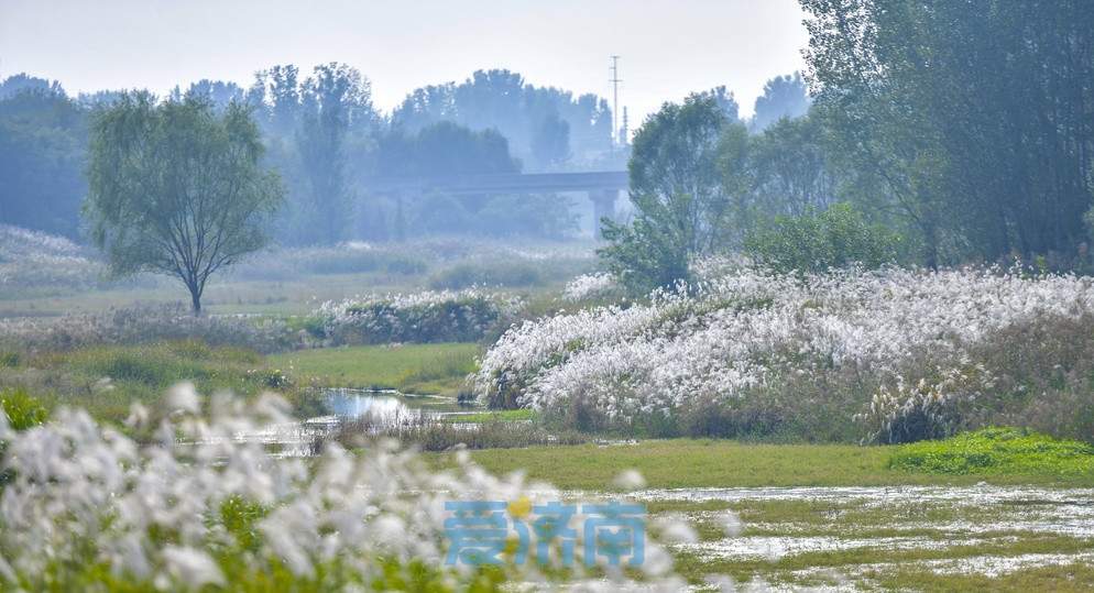 潮流与古韵碰撞 老舍笔下“济南的秋天”来了