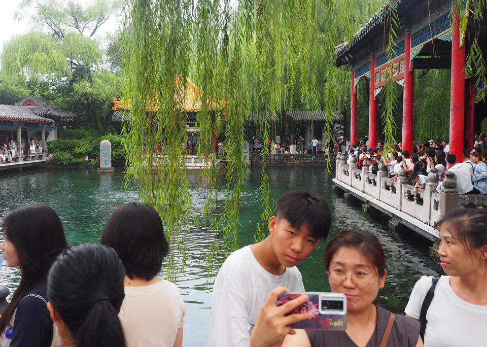 趵突泉游客留影的“黄金点位”，如今被垂柳枝条挡住了