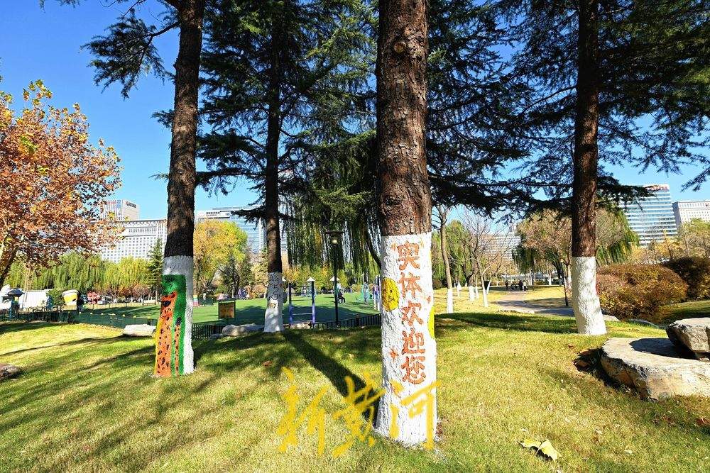 “熊猫爬树”“青蛙放气球”……济南奥体中心巧绘冬日树景