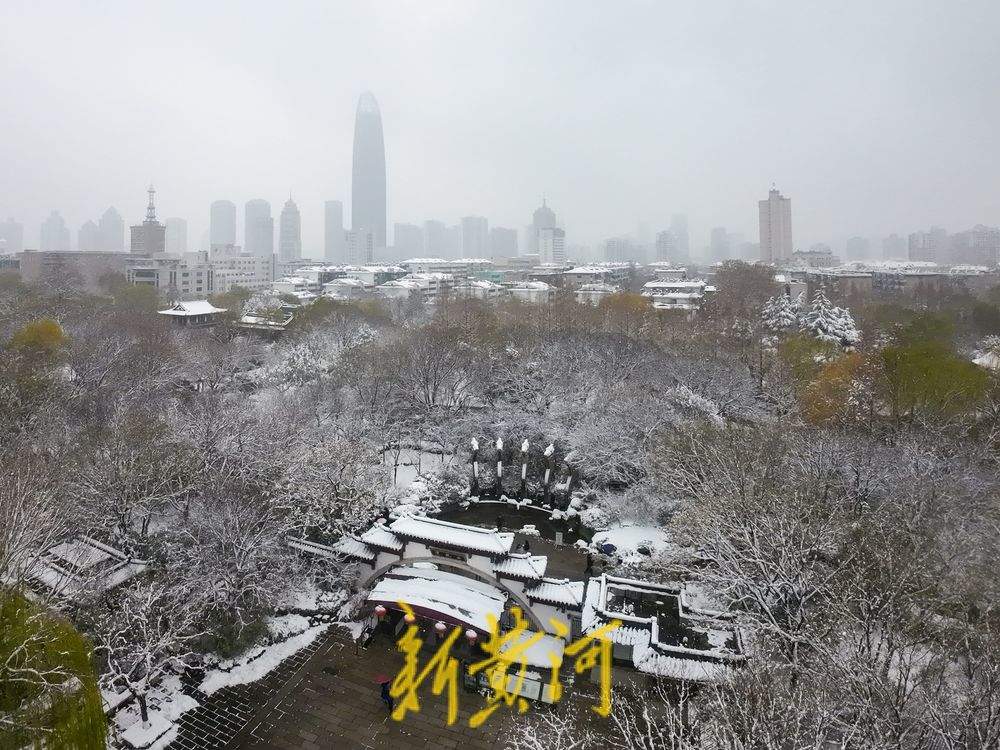 玉树琼枝，静谧如画！济南护城河雾霭流云，五龙潭琼枝映雪