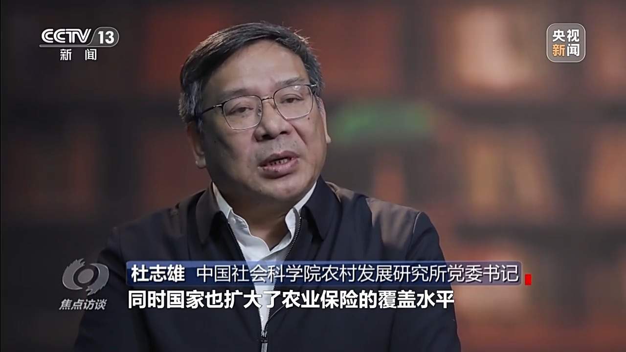 从抗旱到抢收 解读粮食增产背后的“密码”