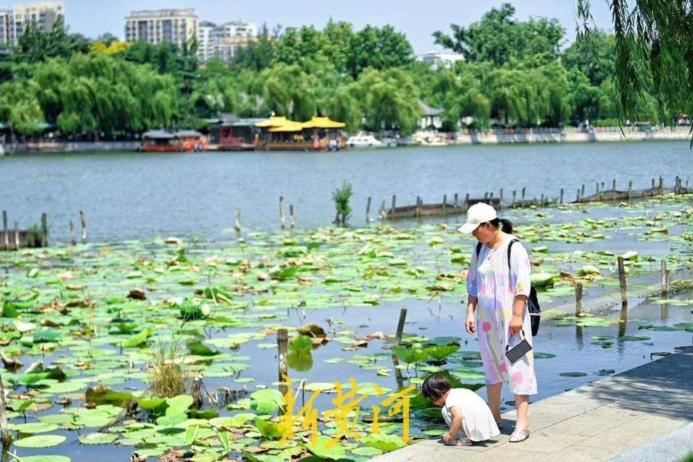 泉城连日高温 市民游客大明湖畔觅清凉