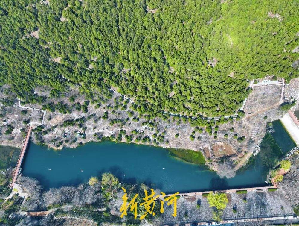 春日历阳湖宛若流动的翡翠带 成为济南市民踏春好去处