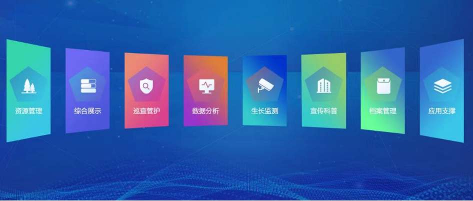 在济南，“古树”与“古城”双向奔赴