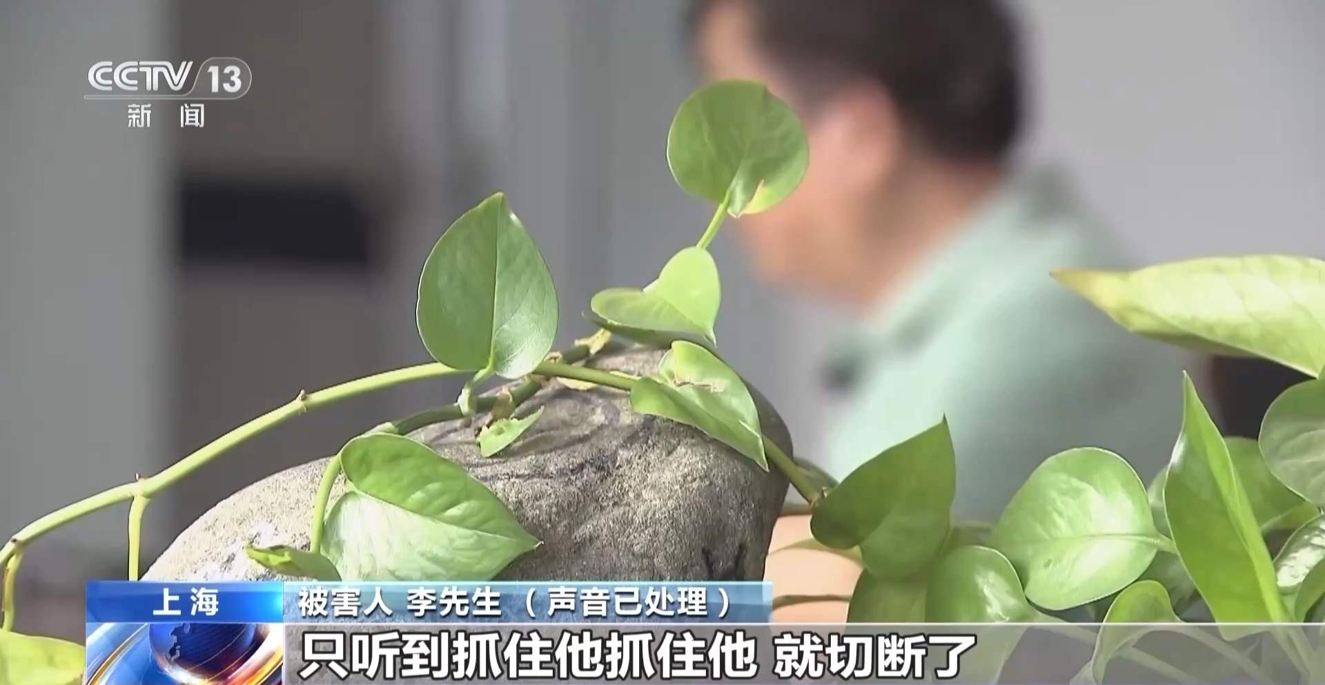 30人拼单 29人是托儿 起底私域直播间的拼单赌石骗局