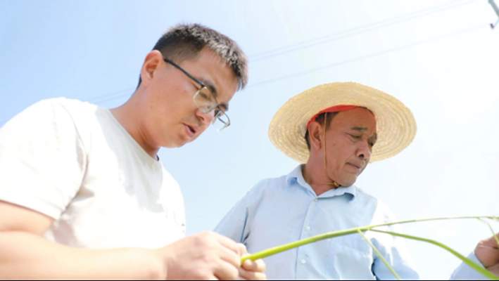 青春之歌 