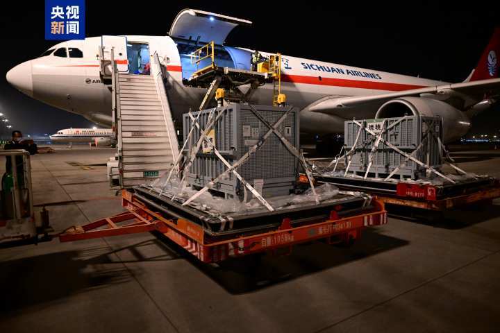 “晓晓”“蕾蕾”入住中国大熊猫保护研究中心雅安基地