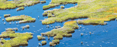 山东加快建设绿色低碳高质量发展先行区（新时代画卷·锚定现代化 改革再深化）