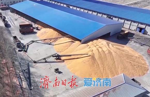 事关粮食初加工企业用电价格，济南明确申报审核流程