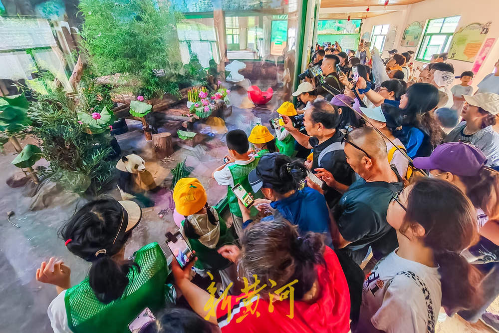 大熊猫“华奥”庆生现场超有范儿！竹子蛋糕、荷花宴引游人粉丝围观