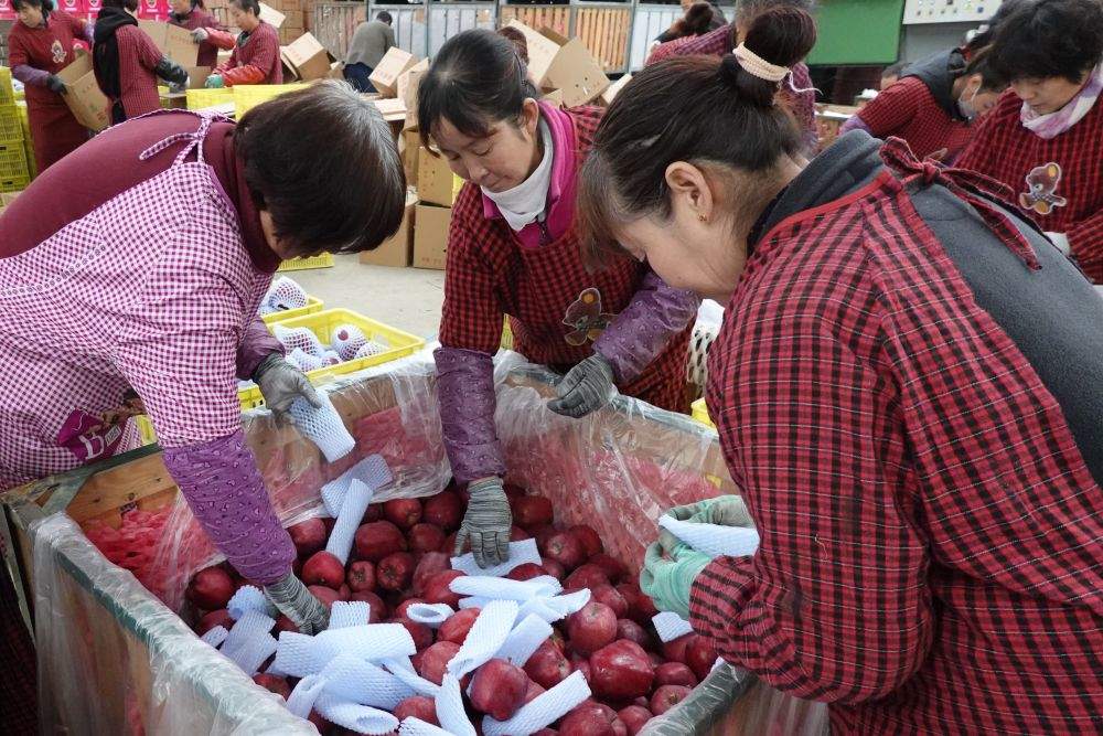 习近平总书记引领中国从脱贫攻坚迈向乡村全面振兴