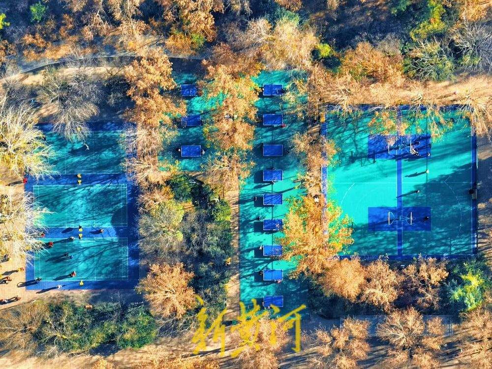 一年四季 泉在济南丨色彩斑斓 济南这个健身广场融进森林氧吧