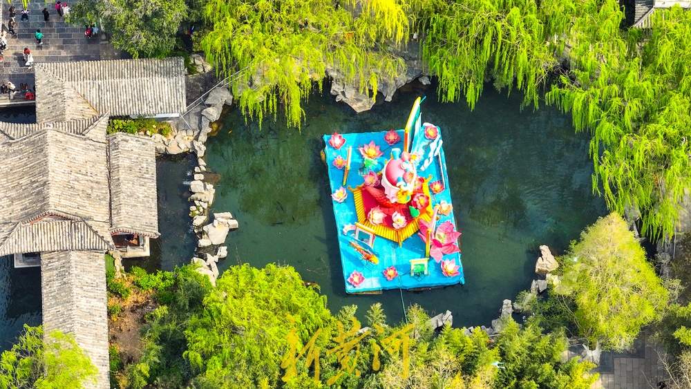 春日限定！趵突泉花柳相映，北方园林美成江南画卷