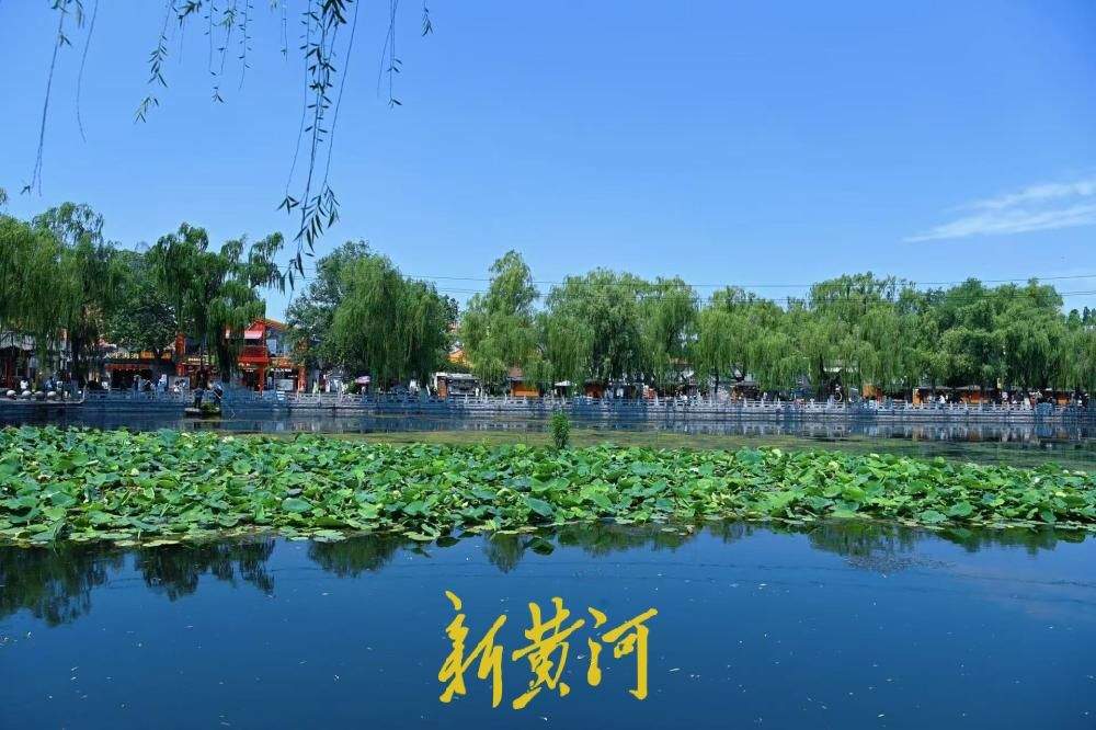 蓝天白云映泉池 济南百花洲绘就绝美夏日画卷