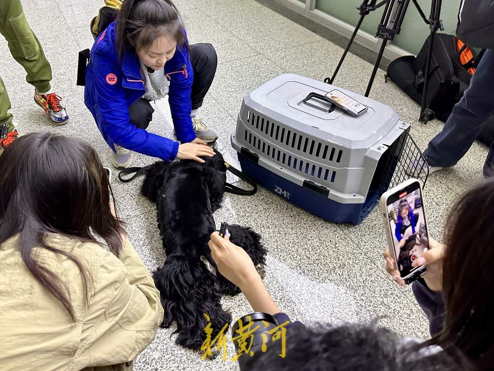 萌宠坐高铁到济南西站了！全国首趟提供高铁宠物托运服务的列车抵达