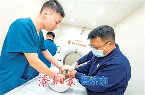 “单大夫”的接力棒:三代兽医,一部动物诊疗发展史