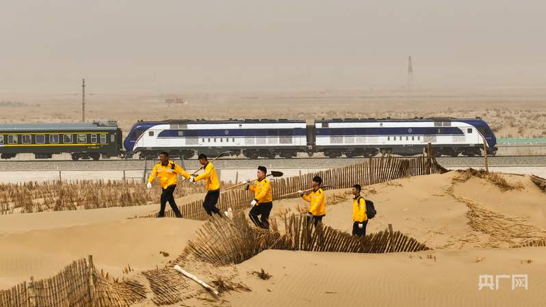 梭梭成林、黄沙止步，世界首条环沙漠铁路背后的“治沙天团”