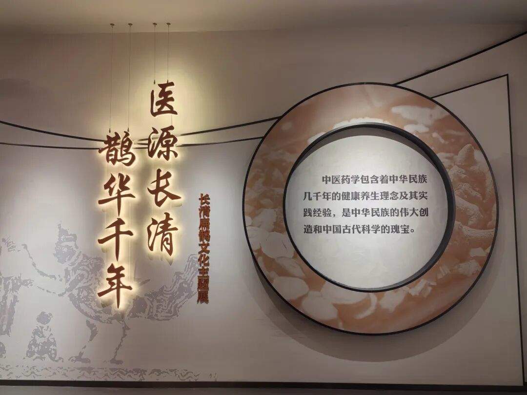 药香满城,“扁鹊故里”有什么?