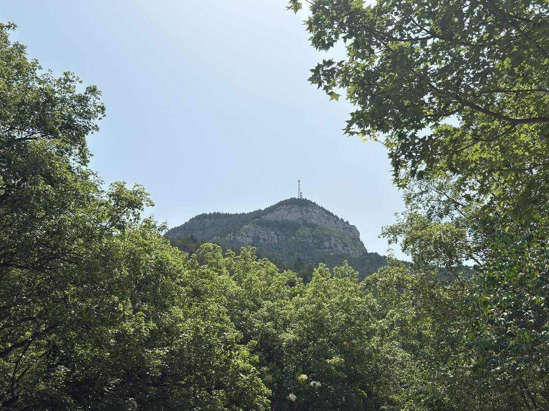 人头攒动，佛慧山公园成热门“打卡地”