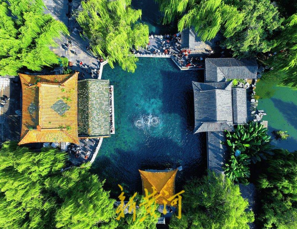 济南趵突泉水位半个月涨幅超一米 游客争睹胜景