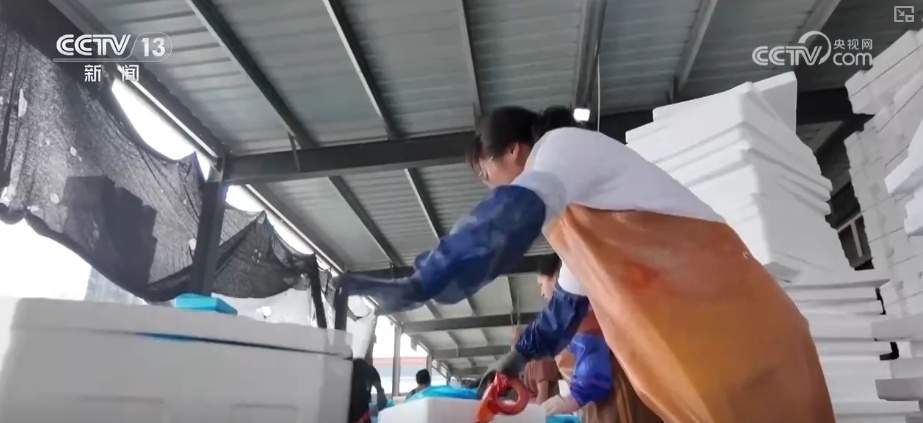 百姓“菜篮子”价优物丰四季安然 多举措有效保障春节供应